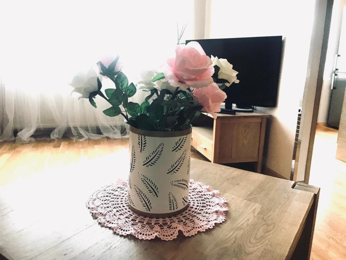 טאלין Cozy Central Apartment מראה חיצוני תמונה